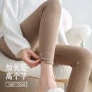 高腰显瘦加长高个子磨毛紧身裤 螺纹加绒棉裤 冬 女秋外穿秋裤 打底裤
