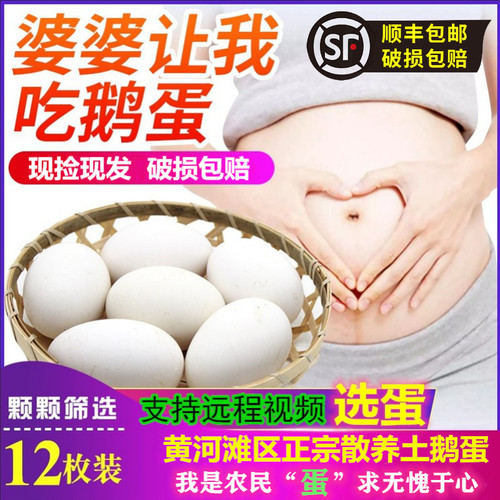 黄河滩生鲜正宗农家散养儿童鹅蛋