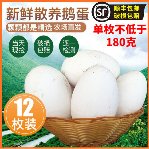 新鲜黄河滩正宗农家散养枚装鹅蛋