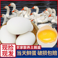 鹅蛋新鲜正宗黄河滩农家散养特产超大孕妇去胎毒6枚装80-110g/个