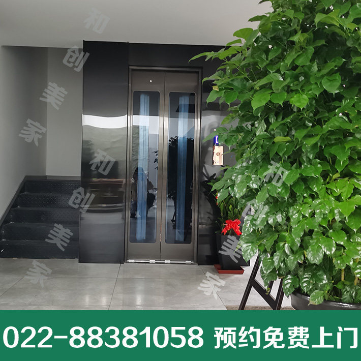 天津家用电梯 德国帝奥电梯 别墅电梯 小型家用电梯二层三层四层