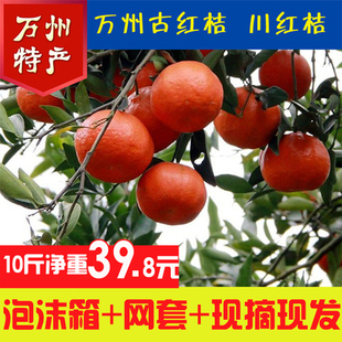 四川重庆特产万州红橘陈皮新鲜水果柑橘农家自产古红桔大红袍桔