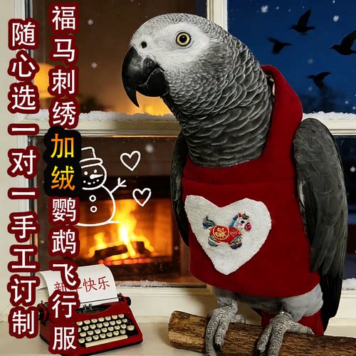 福马刺绣加绒鹦鹉飞行服卫衣连帽