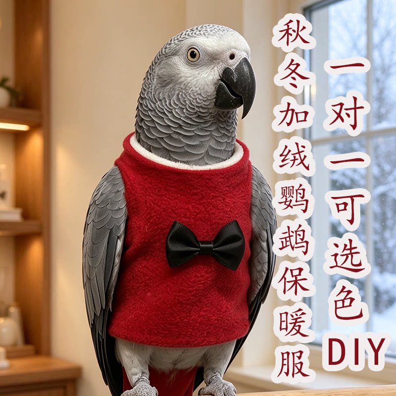 高领灰鹦鹉飞行服鸟衣服冬季加绒保暖防咬毛葵花金刚中大型鸟服饰