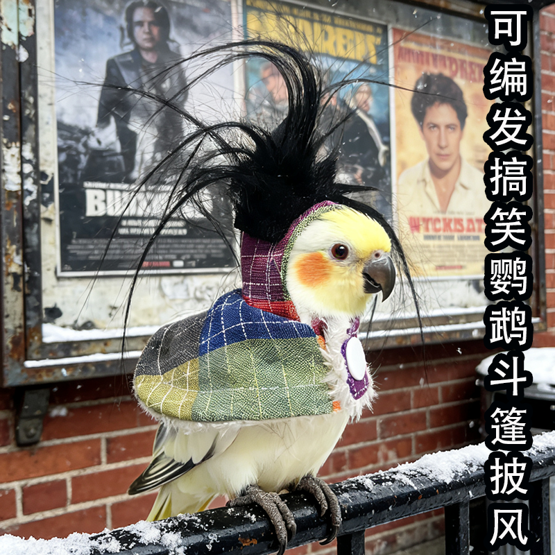 小班主可编发搞笑鹦鹉斗篷披风小鸟类衣服冬季保暖加绒遛鸟外出服,宠物/宠物食品及用品,鸟禽服饰,淘宝优惠券,粉丝福利购,淘宝优惠卷