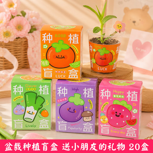 种植盆栽盲盒好发芽开出小惊喜
