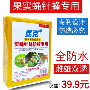 昆克瓜果实蝇粘胶板杀果苍蝇针蜂贴蜜锋诱捕器性引诱药剂黄粘虫板