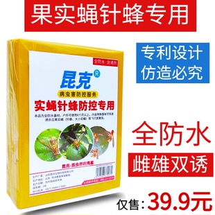 昆克瓜果实蝇粘胶板防果蝇针蜂贴灭金锋黄板沾纸诱捕器粘剂粘虫板