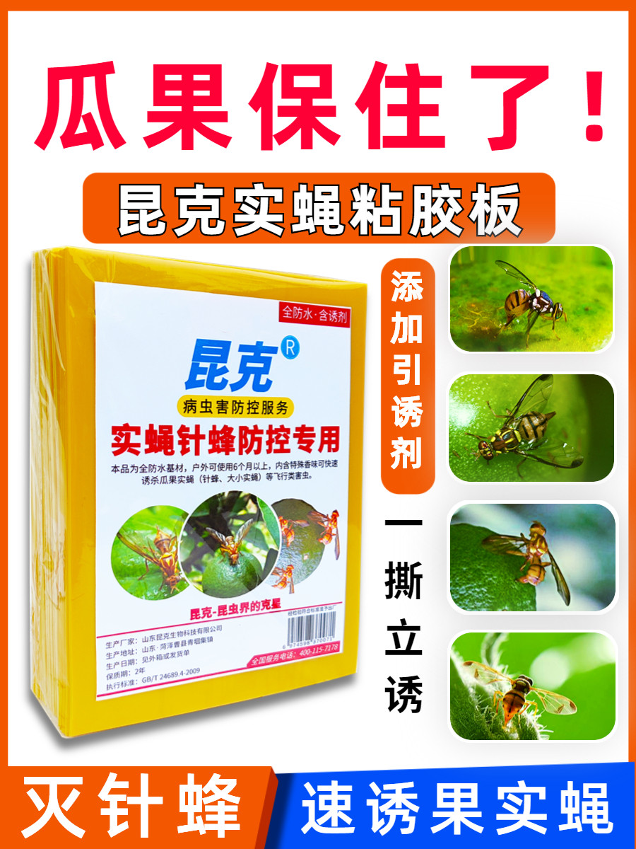 昆克瓜果实蝇粘胶板杀果苍蝇针蜂贴蜜锋诱捕器性引诱药剂黄粘虫板