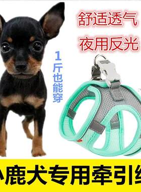 小鹿犬专用1斤牵引绳吉娃娃透气宠物牵引绳遛狗大狗犬用背带尼龙