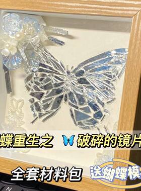 【家用优选】破碎蝴蝶镜