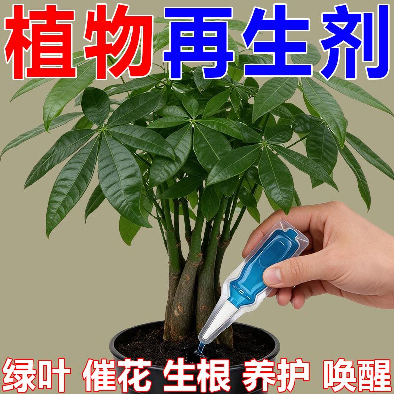 植物再生剂通用复活液花卉绿植盆栽通用光杆发黄发财树多肉营养液