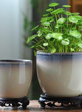 无孔水培花盆陶瓷睡莲碗莲荷花缸水仙水养植物铜钱草多肉花盆特价