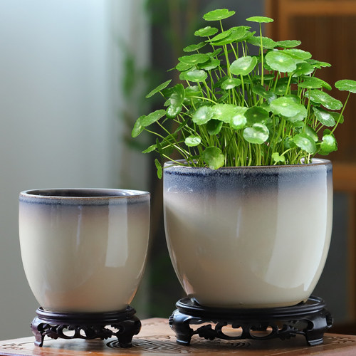 无孔水培花盆陶瓷睡莲碗莲