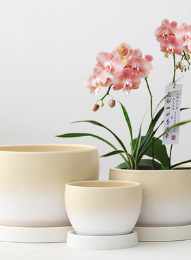 陶瓷花盆家用郁金香土培绿萝蝴蝶兰多肉盆大号大口径特价清仓带托