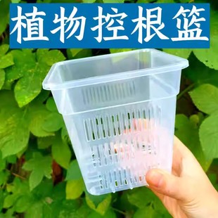 造景过滤水杨梅植物防龟咬方盆加厚透气塑料花盆控根定植篮水培篮