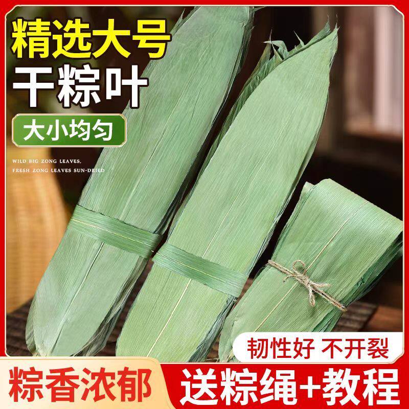 干粽叶精选宽大完整风干清香端午包粽子叶子特大粽子叶正宗箬竹叶