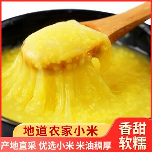 5斤黄小米新鲜正宗黄小米新米农家小米粥五谷杂粮食用早餐煮小米