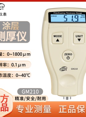 标智GM210汽车漆面检测仪高精度漆膜仪油漆镀锌层涂层测厚仪GM211