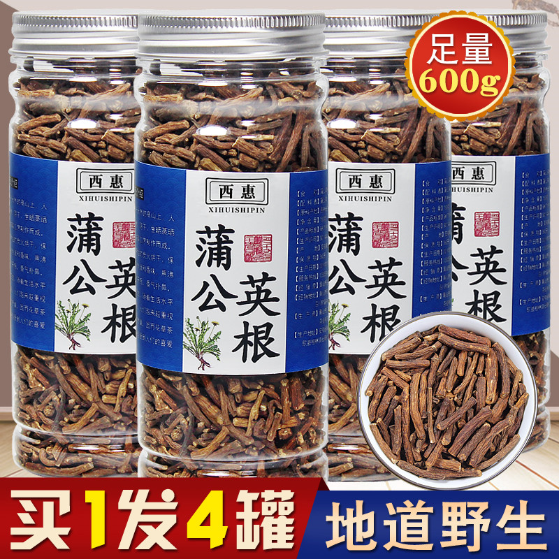 蒲公英根茶600g野生特纯级天然长白山整根大通颗粒乳腺女浦公英茶