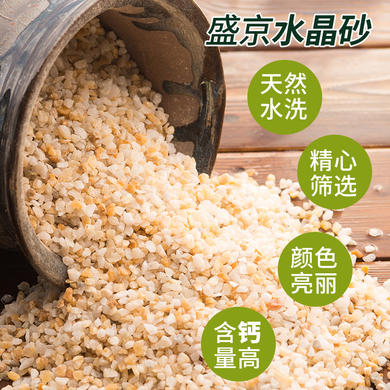天然水晶砂粗河沙水晶沙多肉植物铺面鱼缸铺底水族沙碗莲拌土颗粒