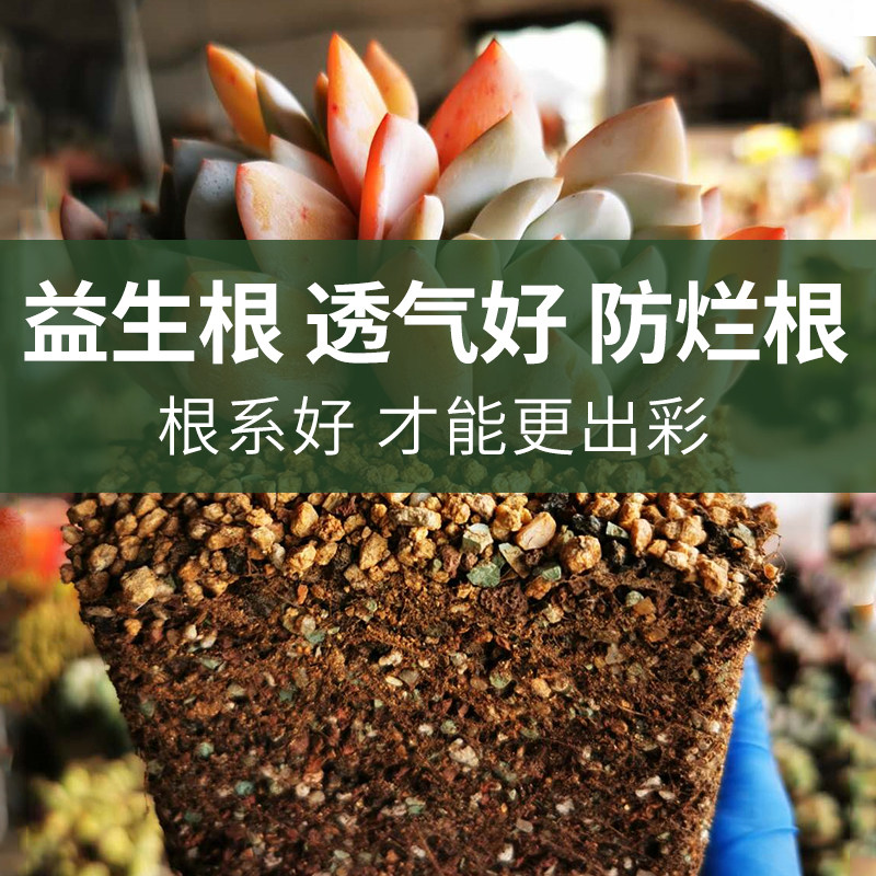多肉土专用颗粒土营养土大包透气种植土铺面石进口泥炭纯颗粒包邮