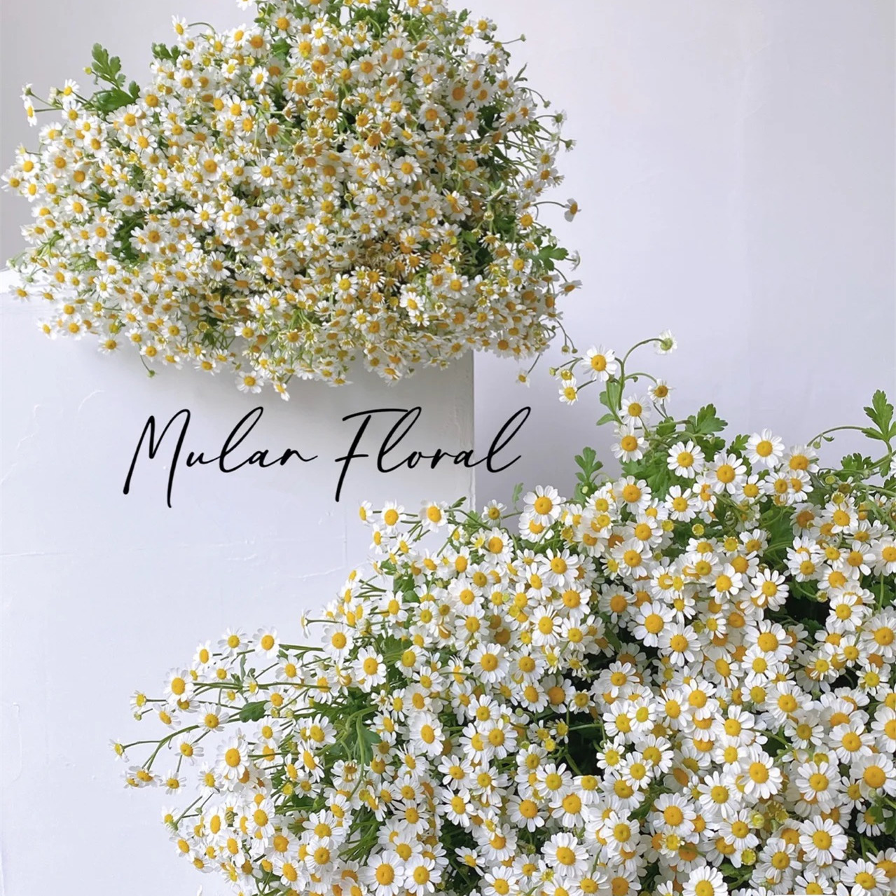 洋甘菊小雏菊假花仿真花客厅摆设餐桌花装饰花束花艺摆件拍照道具
