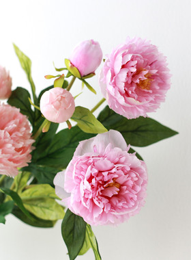 高品质好质感仿真芍药三头长枝枝牡丹白色玫红色一比一还原真花