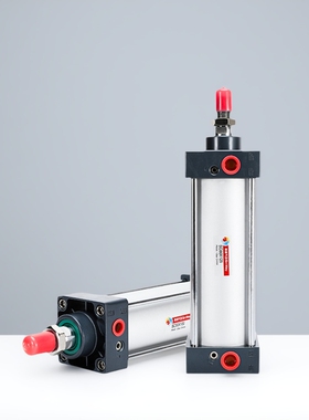 Snway/神威气动 标准气缸 SC80 X 165 175 170 160 - TC TF CA