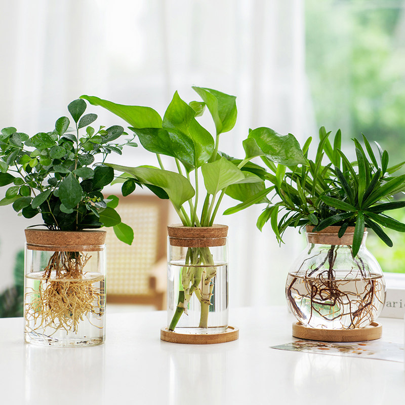 简约现代风创意透明玻璃水培花瓶桌面装饰室内绿植盆栽插花摆件