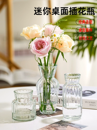 Европейская стиль творческий стеклянный ваза Прозрачный сеть красного гидропонного зеленого растения цветы небольшие вставки вазы на рабочем столе украшение