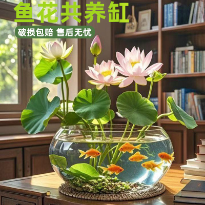 简约大号水培玻璃花瓶