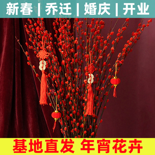 银柳真花鲜枝红色年宵花卉水培植物室内客厅干花摆件干枝红柳鲜花