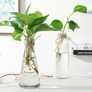 透明玻璃花瓶水培植物绿萝鲜花干花插花瓶客厅摆件 DIY简约创意