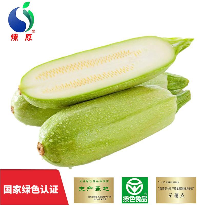 燎原绿色西葫芦 角瓜现摘新鲜绿色食品孕妇宝宝健康辅食2斤包邮