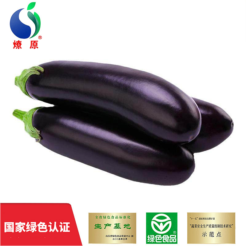 绿色黑嫩基地自种长线大茄子