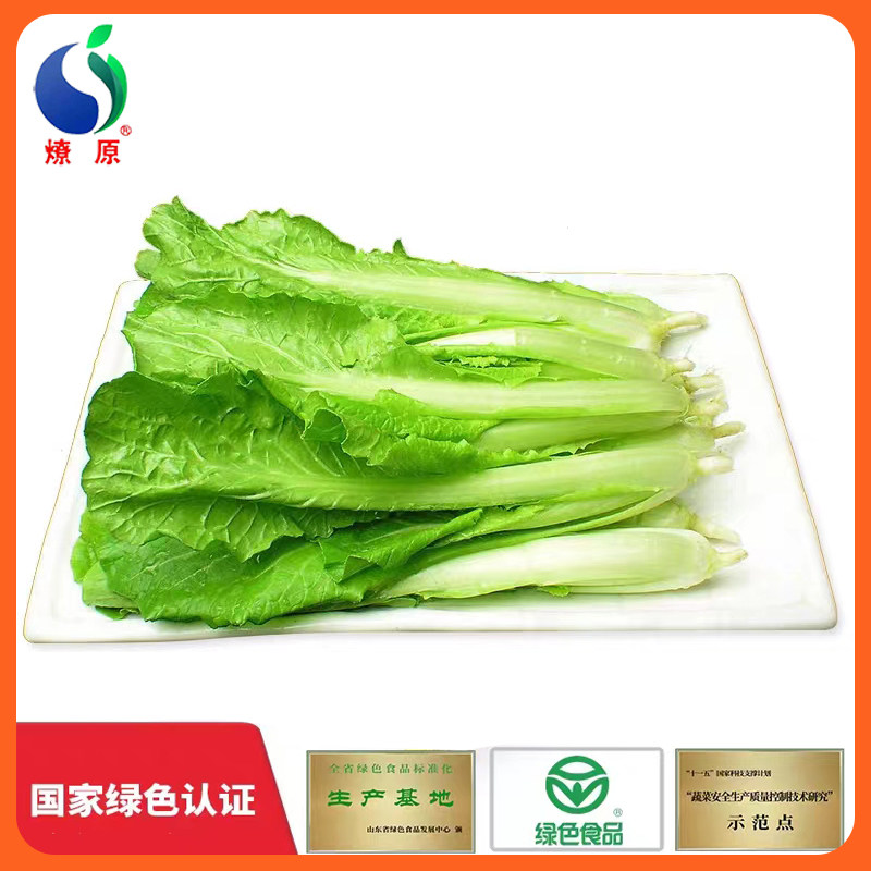 燎原绿色小白菜青菜新鲜蔬菜国家绿色认证基地自种2斤顺丰包邮