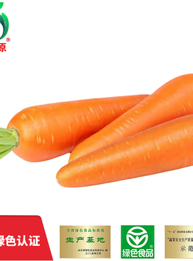 山东燎原绿色胡萝卜生吃红萝宝宝健康营养蔬菜辅食清甜拇指萝卜