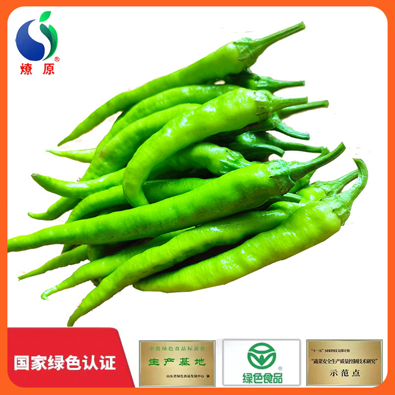 现摘现发正宗杭椒新鲜辣椒小尖椒食用青辣椒蔬菜