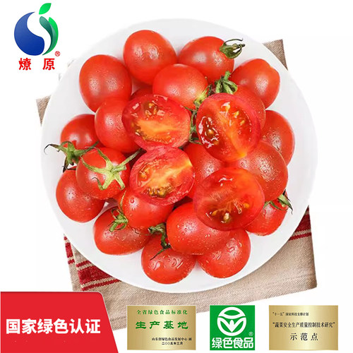 燎原绿色小番茄圣女果酸甜可口