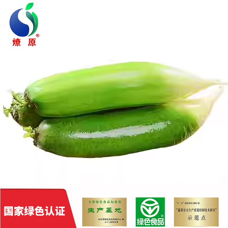 山东潍坊萝卜4斤 水果型青皮萝卜 潍坊特产生吃脆嫩蔬菜新鲜包邮,水产肉类/新鲜蔬果/熟食,萝卜/胡萝卜,淘宝优惠券,粉丝福利购,淘宝优惠卷