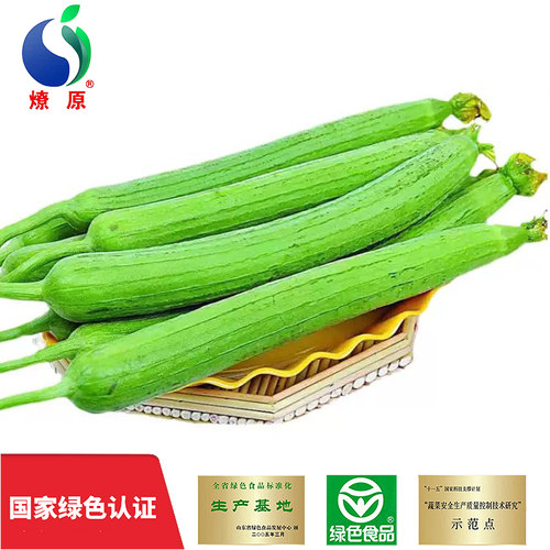 绿色鲜嫩蔬菜绵软柔嫩