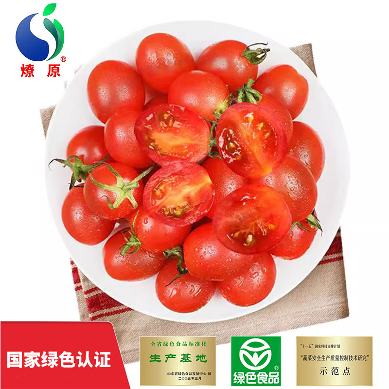 燎原千禧红果圣女果樱桃小番茄小西红柿酸甜可口绿色食品现摘现发