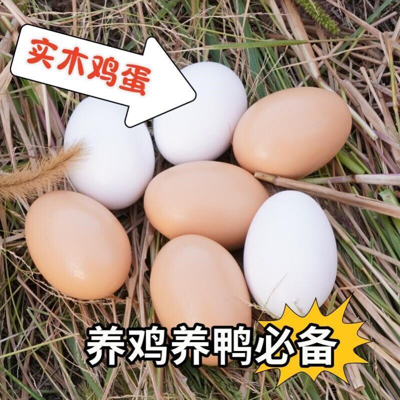 实心木制仿真鸡蛋引窝假蛋模型过家家益智儿童手绘涂鸦彩蛋整蛊蛋