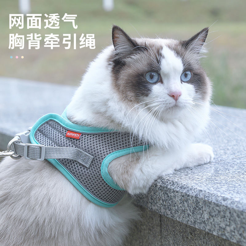 蓝猫牵引绳背心胸背可调节英短蓝白猫遛猫绳子防挣脱专用外出链子