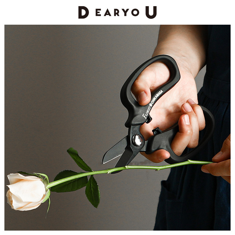 近正大嘴鸟日本进口专业花艺剪刀