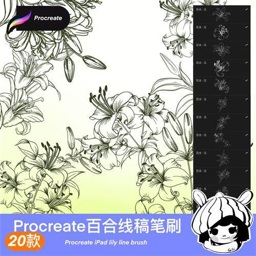 百合花procreate笔刷植物鲜花花卉花朵素材漫画插画线稿ipad绘画