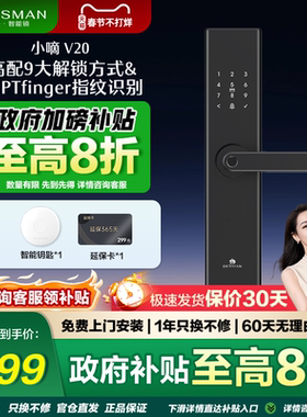 德施曼智能门锁V20家用防盗门密码锁智能指纹锁智能锁十大指纹锁