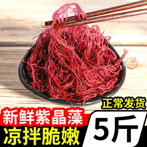 紫色龙须菜新鲜盐渍色红凤菜海草食材凉拌菜龙须菜 - 封面