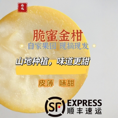 广西融安脆蜜金桔自家果园现摘